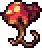 odd mushroom calamity|Odd Mushroom .